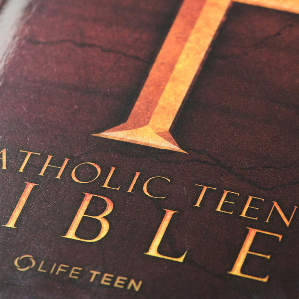 Catholic Teen Bible (Paperback)