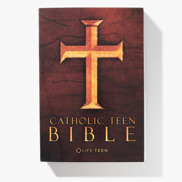 Catholic Teen Bible (Paperback)