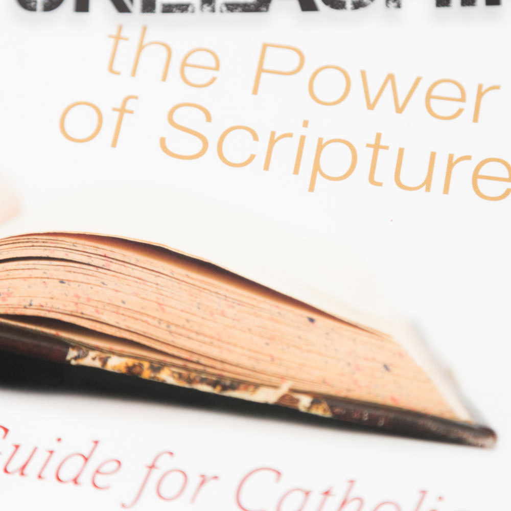 Unleashing the Power of Scripture: A Guide for Catholics