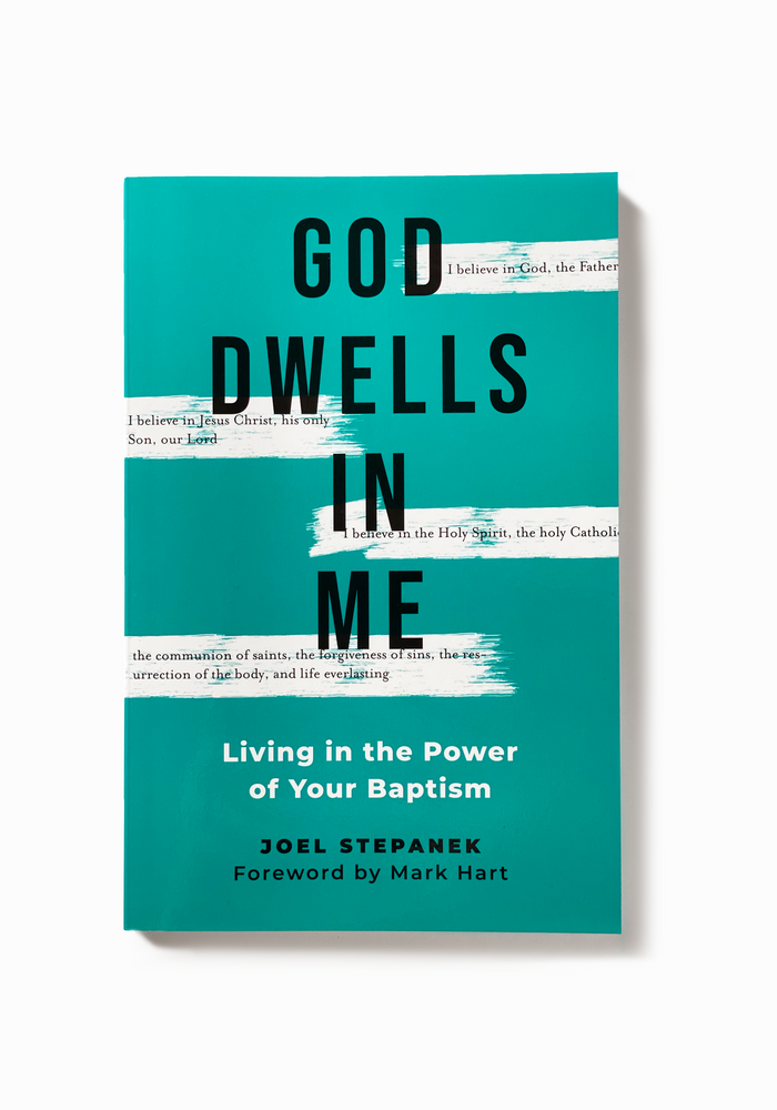 God Dwells in Me: Living in the Power of your Baptism